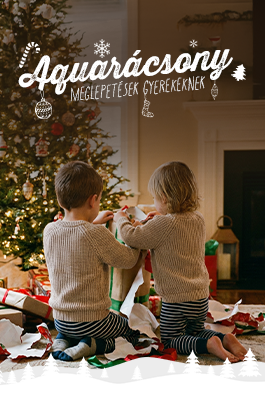 Karácsonyi ajándékok gyerekeknek. 